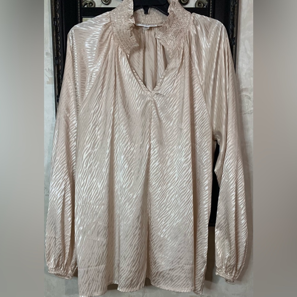 Plus size Satin champagne blouse